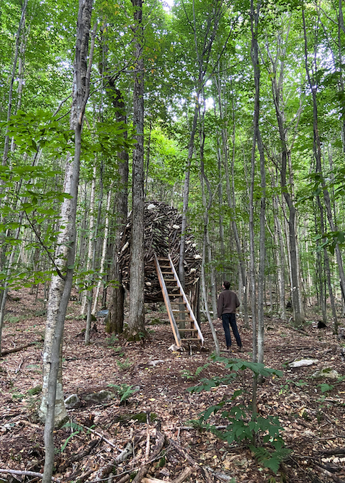 montagnarde foret été oeuvre chloecoomans
