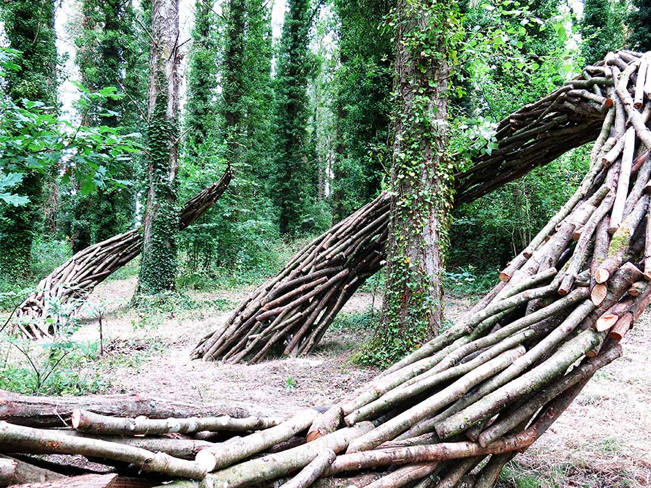 image 2 lart est dans les bois 2019