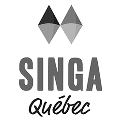 singa carré