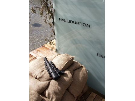 wild capitalism 01