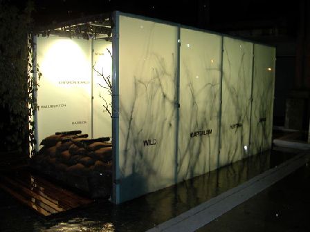wild capitalism 12